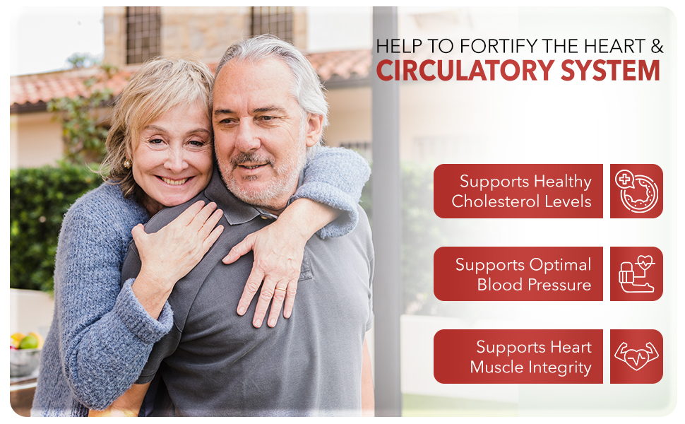Healthy One Healthy Heart - Help to Fortify the Heart and Circulatory System