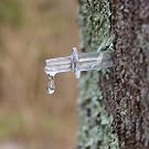 tap