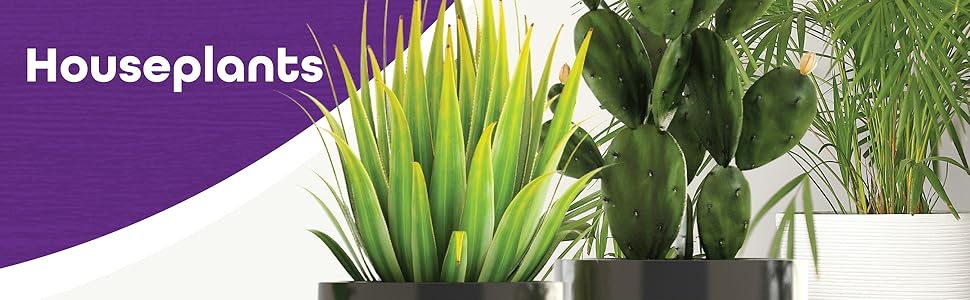 House Plants Care Banner with images of potted indoor plants