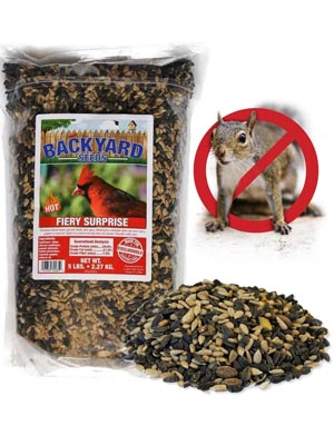 fiery suprise bird seed