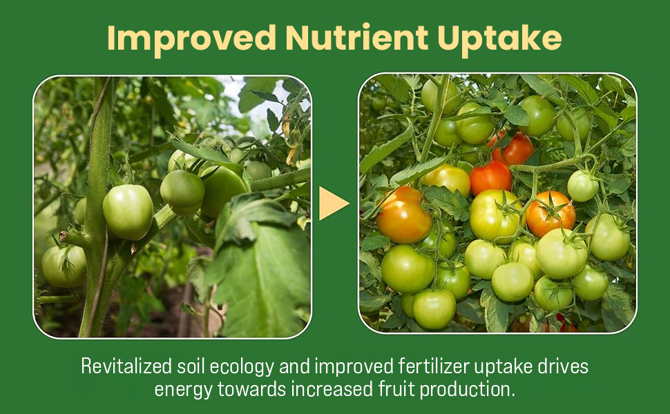flower veggie phosphate mineral mix nutrients onion nitrate large arboles frutales beefsteak pumpkin