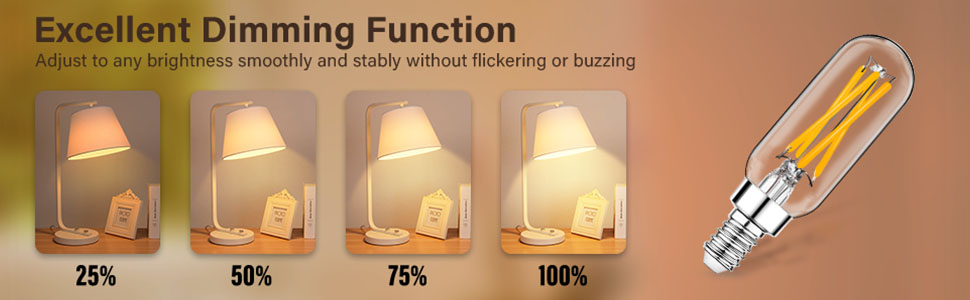 12 EDISON BULBS