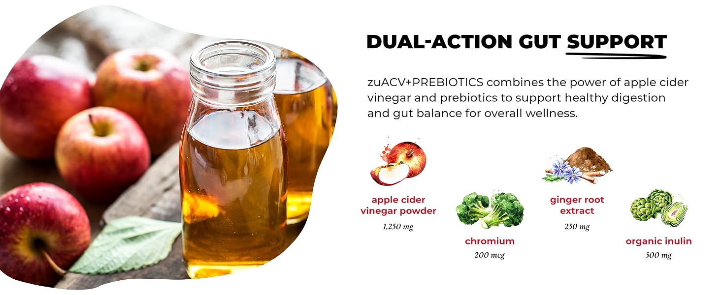 enzymatic activity nourishment resilience transit harmony gastric lining motility equilibrium