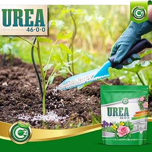Urea Fertilizer Plant