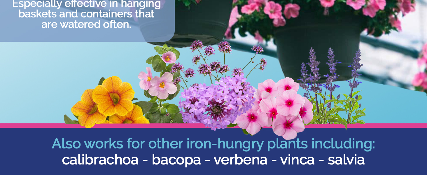 Jack's Classic Petunia FeED Bottom