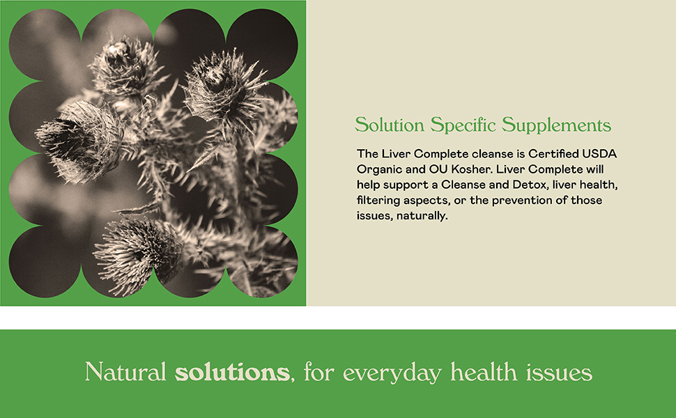 Liver Health, Liver