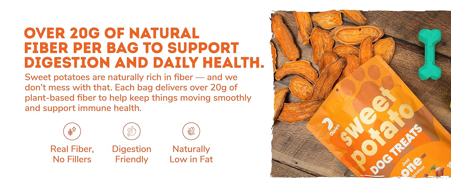Dog chewing 100% sweet potato treat outdoors, grain-free natural snack with no additives