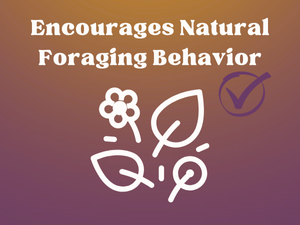 Encourages Natural Foraging Behavior