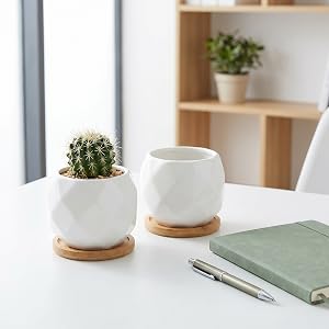Ceramic Succulent Planter Pot