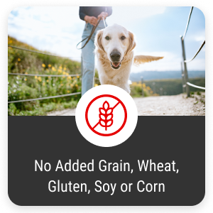 grain,wheat,gluten,soy,corn free