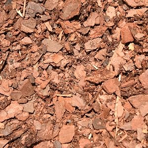 composted pine bark