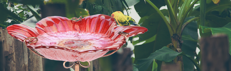 birdbath