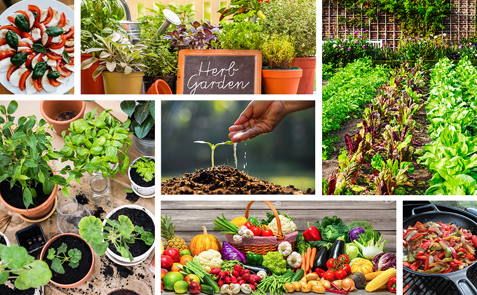 potted vegetables, vegetable garden, herb garden, sliced tomatoes, skillet with chopped vegetables