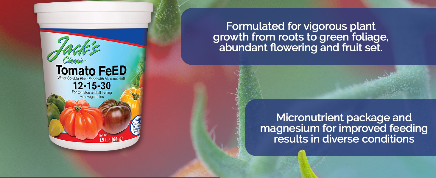 Tomato FeED Middle