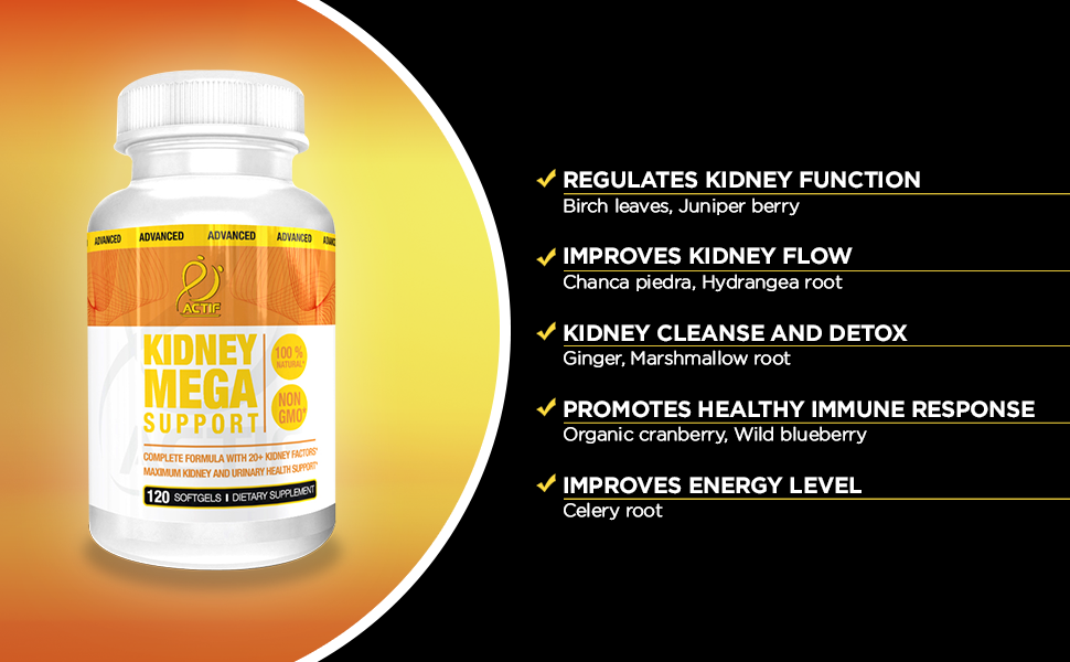 kidney