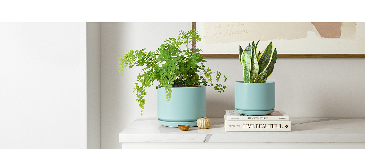 plant pots