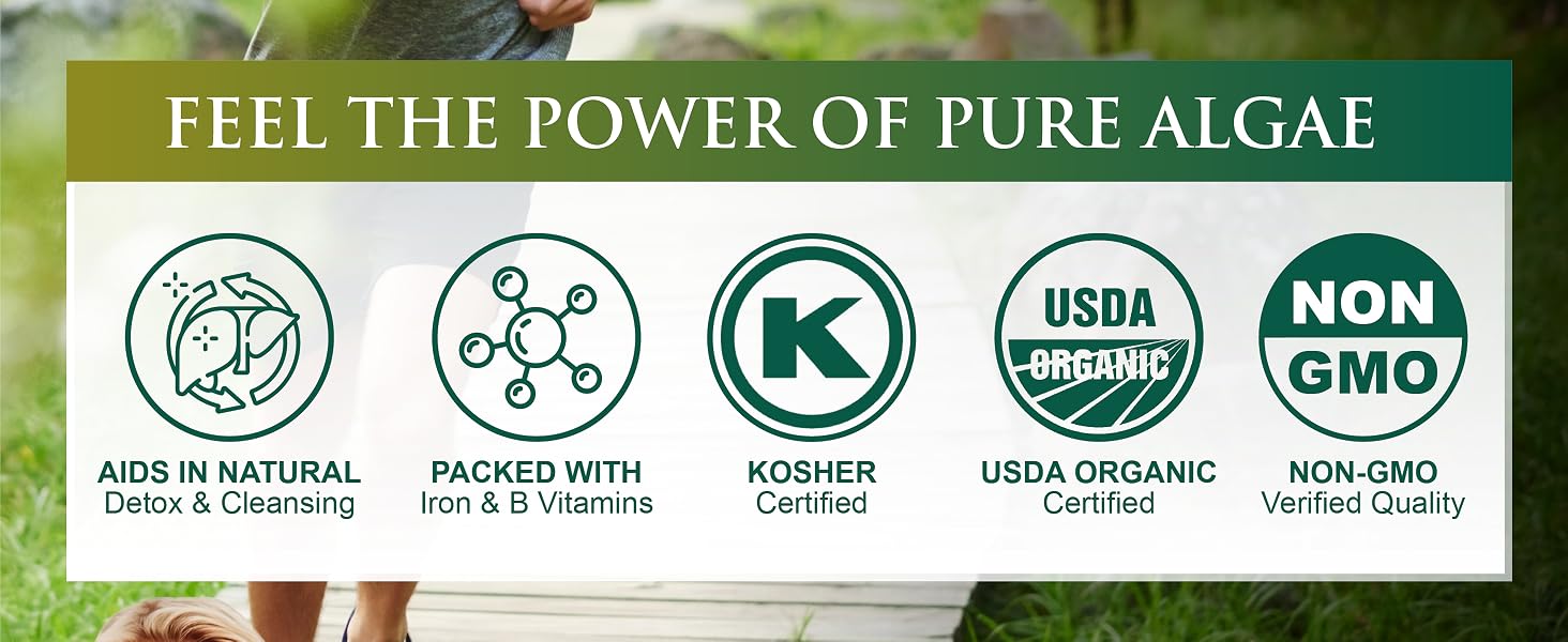 Spirulina Powder 4