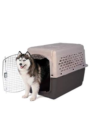 outdoor dog kennel, xl dog kennel, dog kennels and crates for medium dogs,large dog kennel,