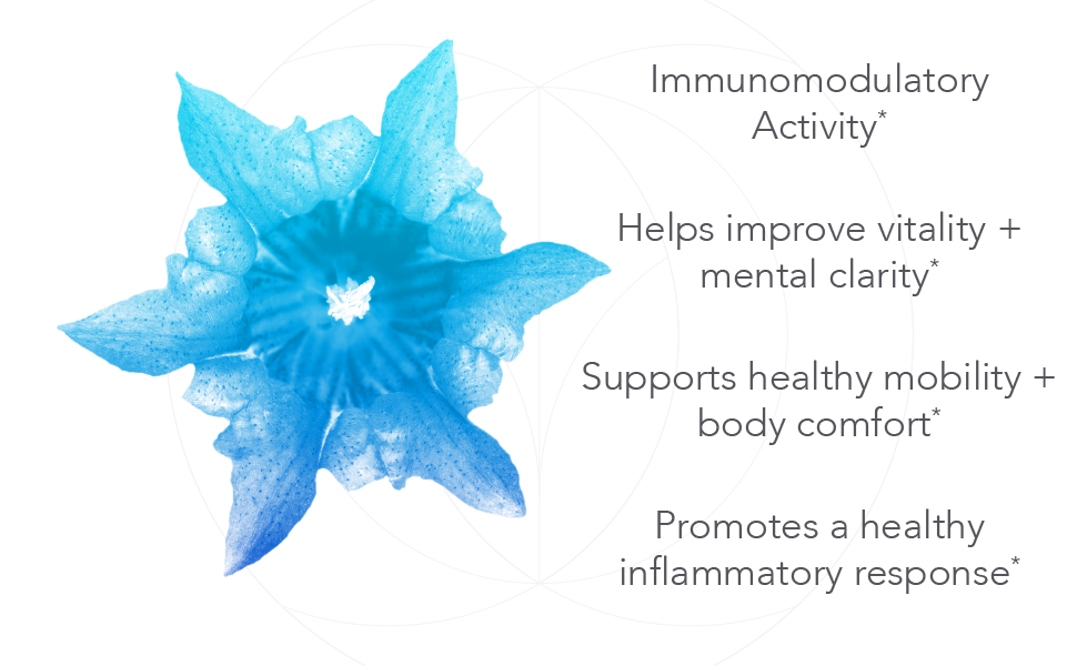 Supports a healthy inflammatory response