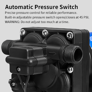 110 Volt RV Pump with Automatic Pressure Switch