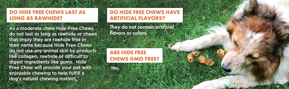 FAQs Rawhide Free Collagen Free No Artificial Flavors GMO Free Canine Naturals