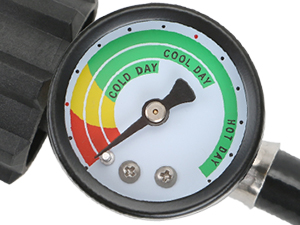 PROPANE ADAPTER HOSE WITH GAUGE