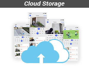 Cloud Storage
