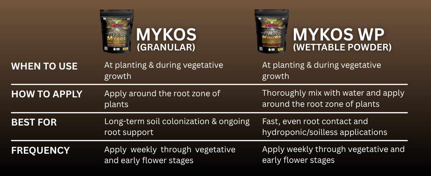 mykos mycorrhizal fungi mycorrhizae