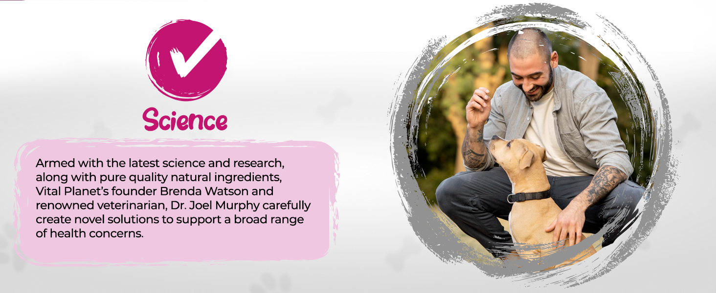 enzymes probiotics prebiotics fiber pumpkin fennel pancreatin digestion pancreas veterinarian