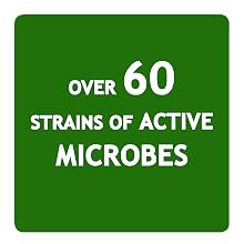high microbe bacteria microorganism count 60 strains