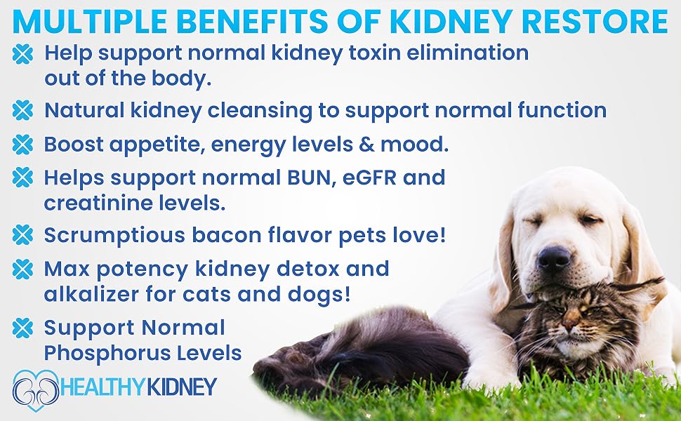 Cat and Dog Kidney Support 2