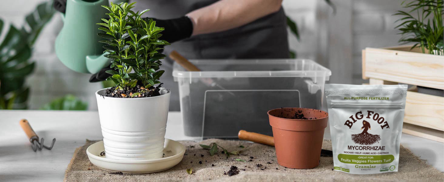Symbiotic relationships foster plant growth and resilience.