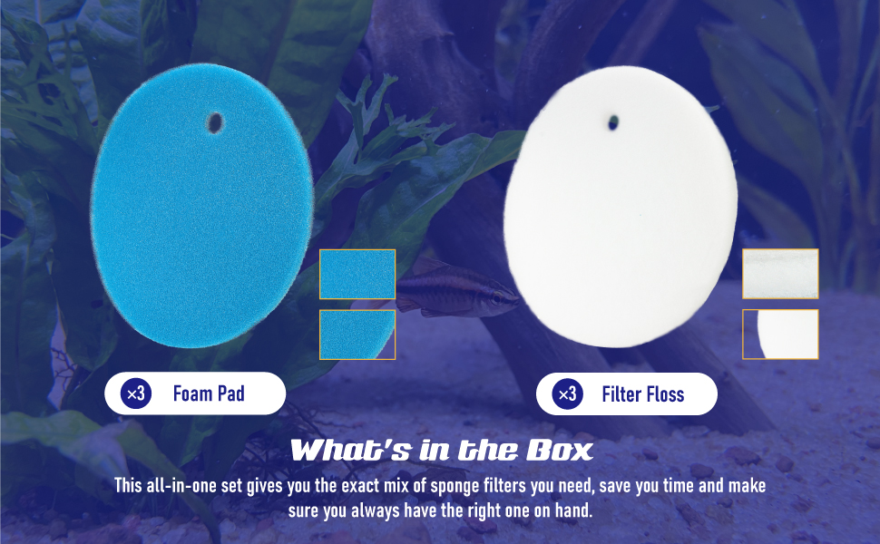 Text reads: 'What's in the Box' and 'This all-in-one set gives you the exact mix of super filters you need, save you time and make sure you always have the right one on hand.' Shows blue and white circular filters with corresponding rectangular filter samples and icons labeled 'Foam Pad' and 'Filter Floss.'