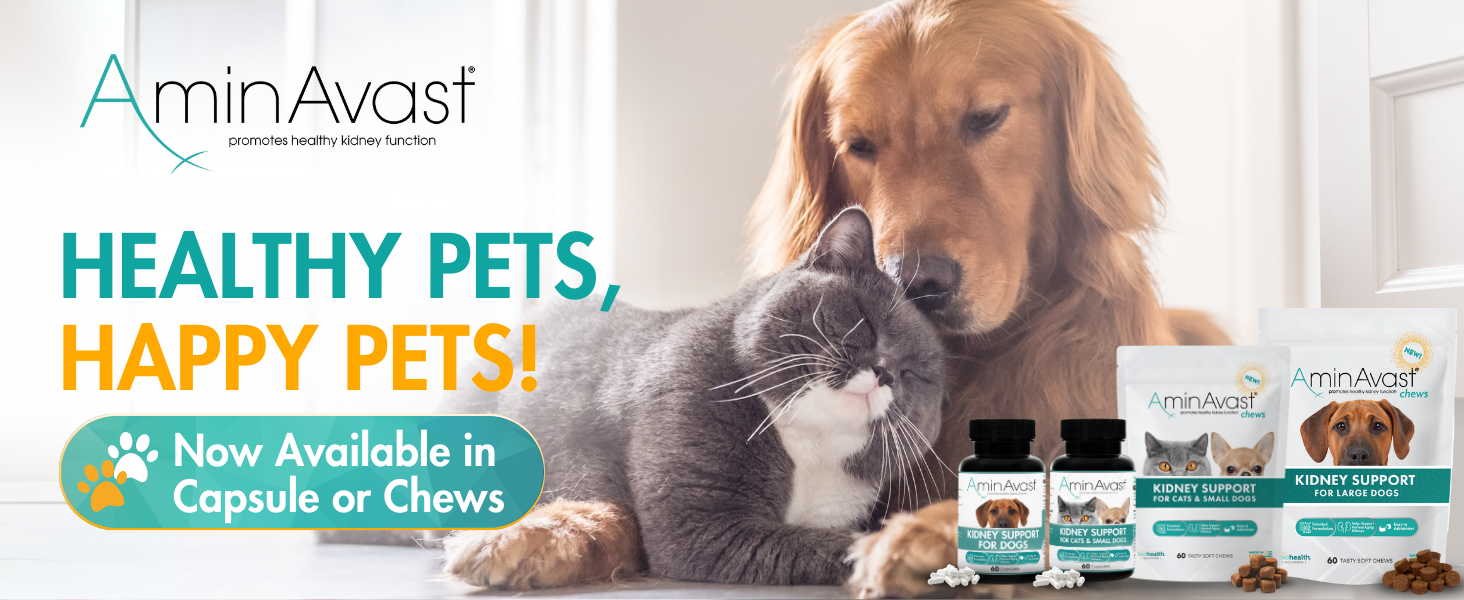 aminavast for cats, aminavast for dogs, cat kidney support, kidney support for cats