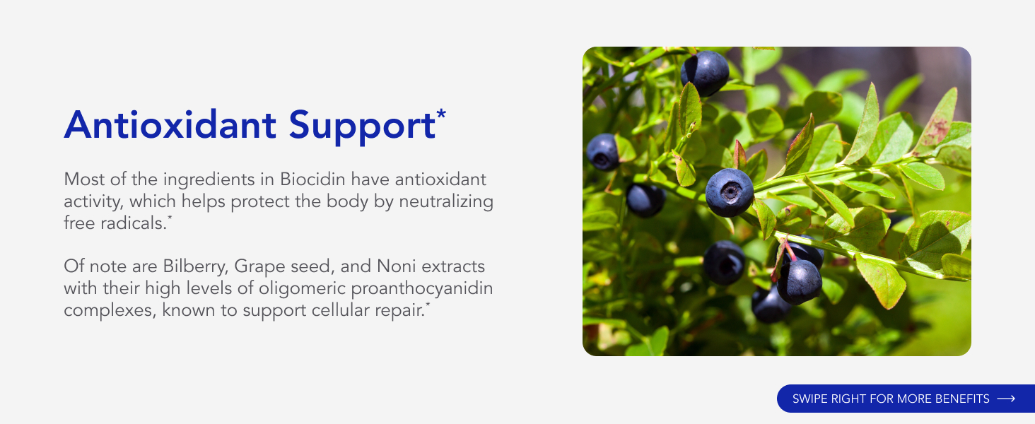 Broad-Spectrum Botanical Drops for Microbiome Balance Biofilm Buster Gut Detox Cleanse Routine