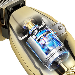 Powerful &amp; Durable Motor