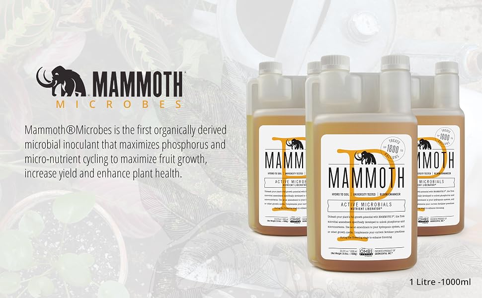 Mammoth P