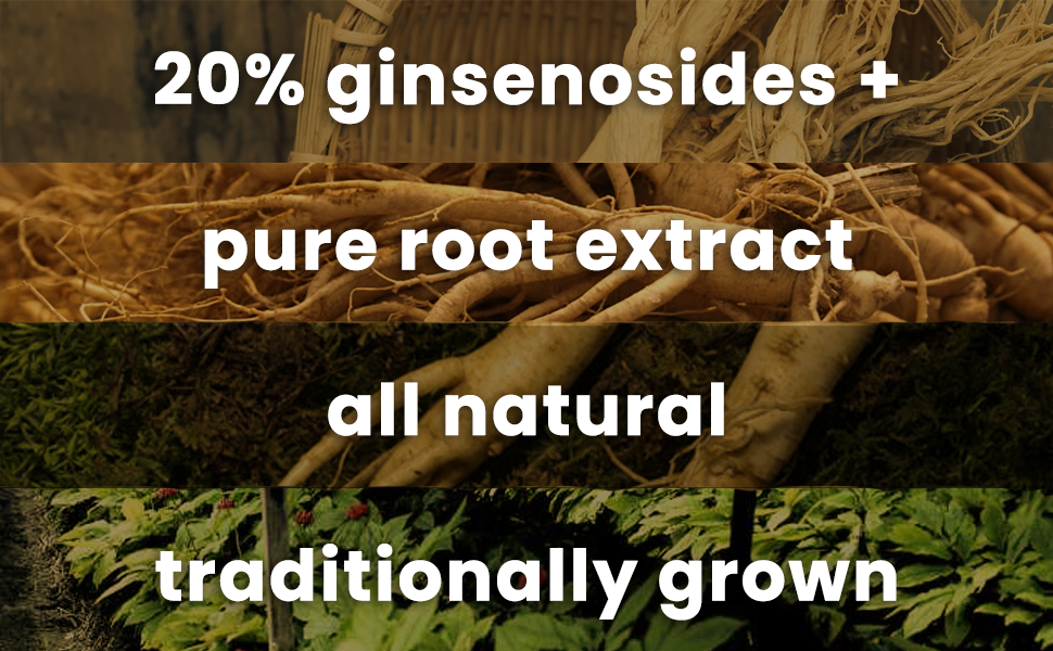 Ginseng