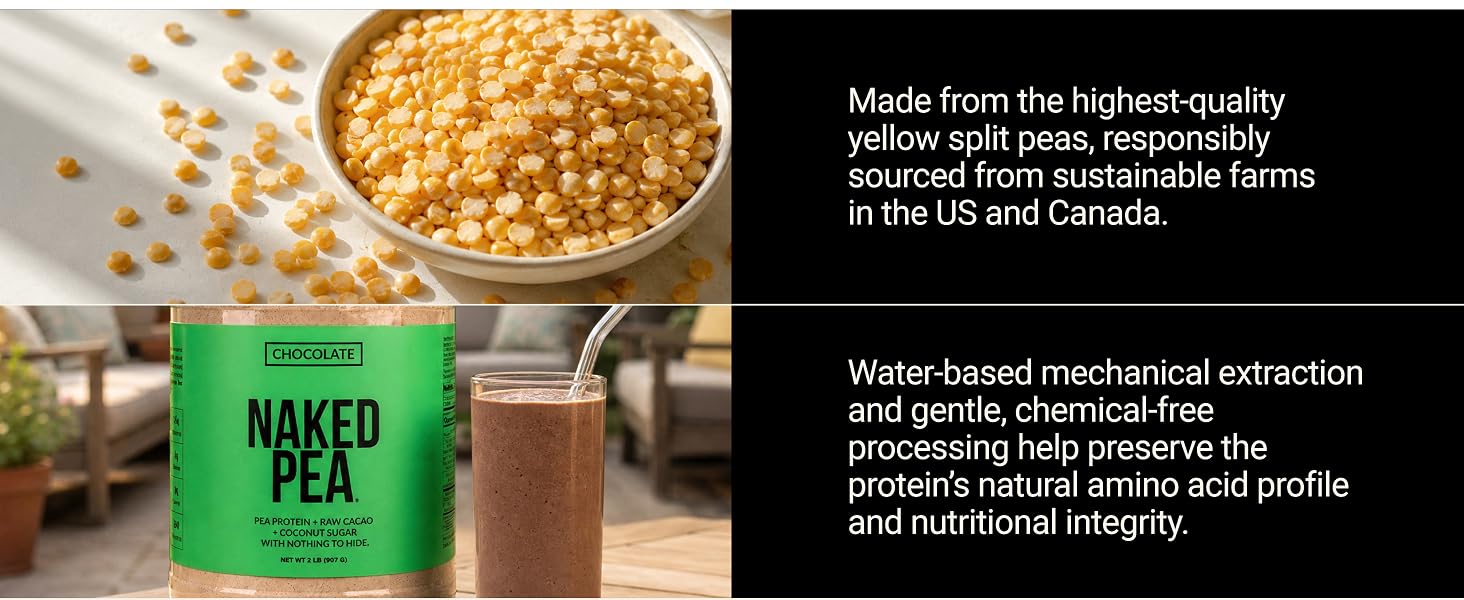 chemical-free processing water-based mechanical extraction pea protein powder