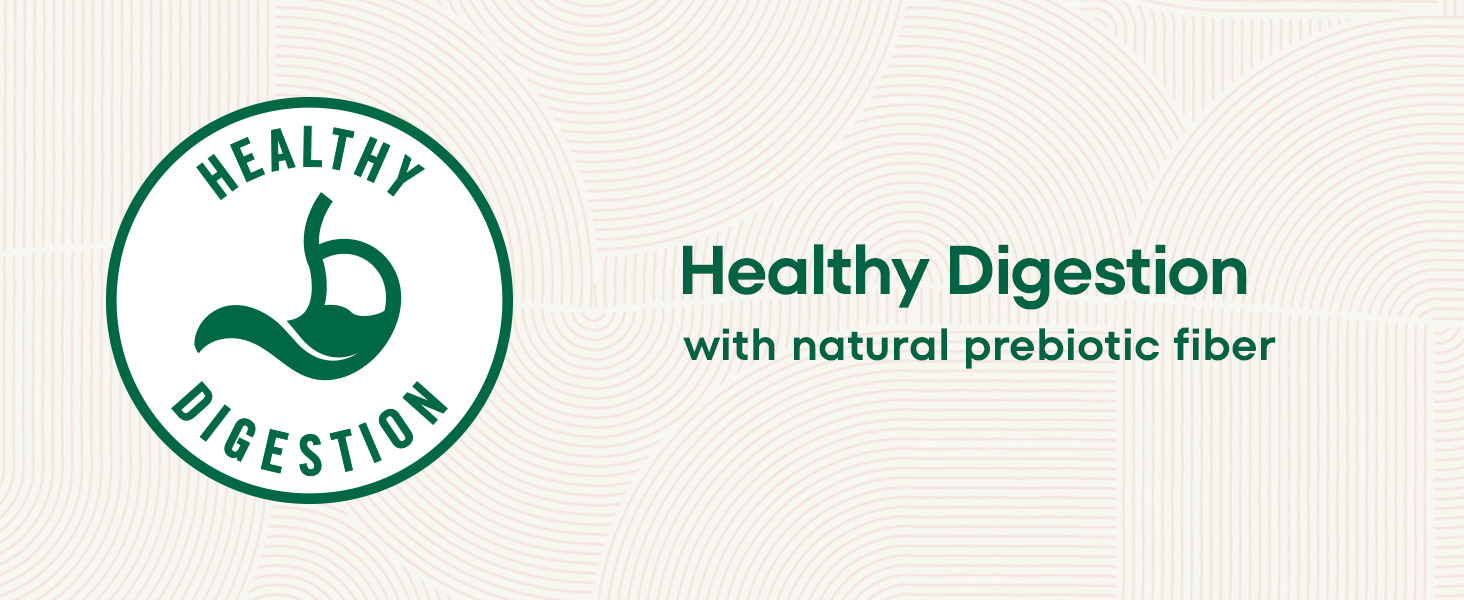 Healthy Digestion