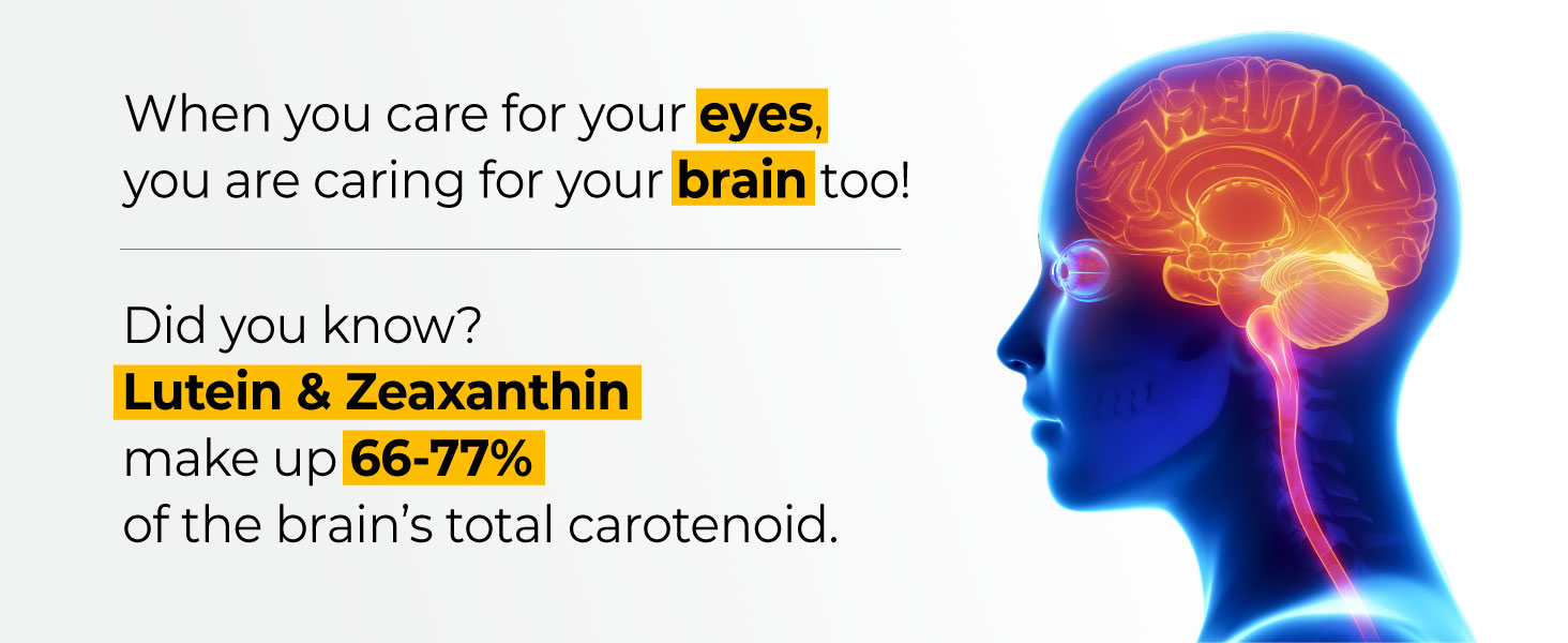 Lutein zeaxanthin support brain and eye health, key carotenoids for eye-brain connection