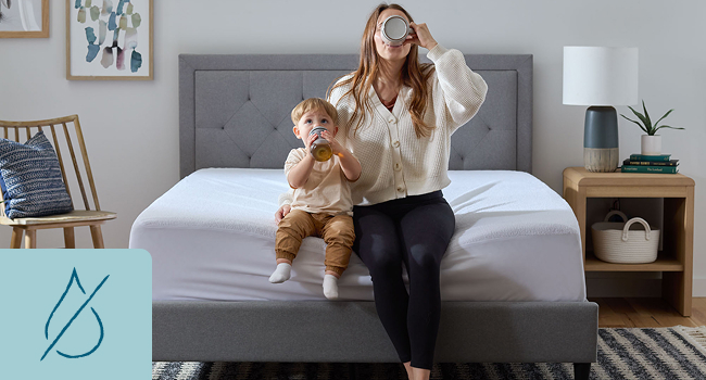 Lucid Terry Mattress Protector