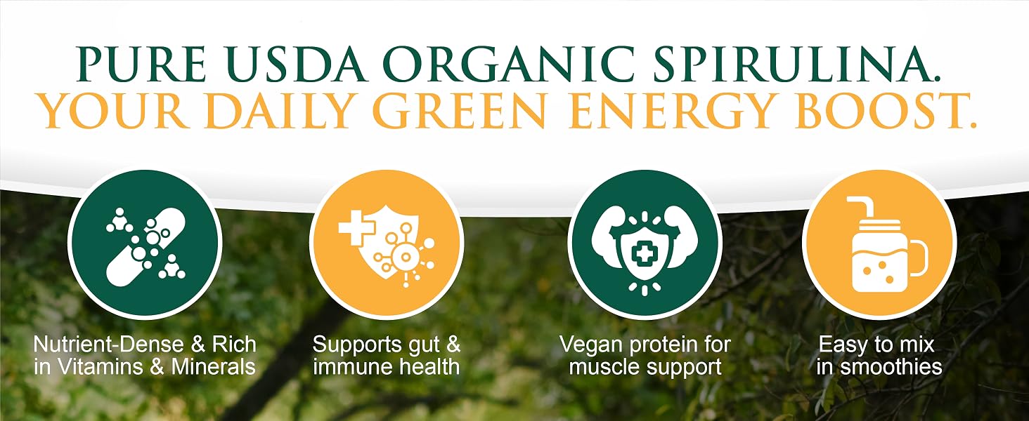 Spirulina Powder 2