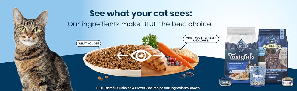 BLUE, Blue Buffalo, Blue Buffalo Cat Food, Dry Cat Food, Cat Food that Tastes Good, High Protein Cat
