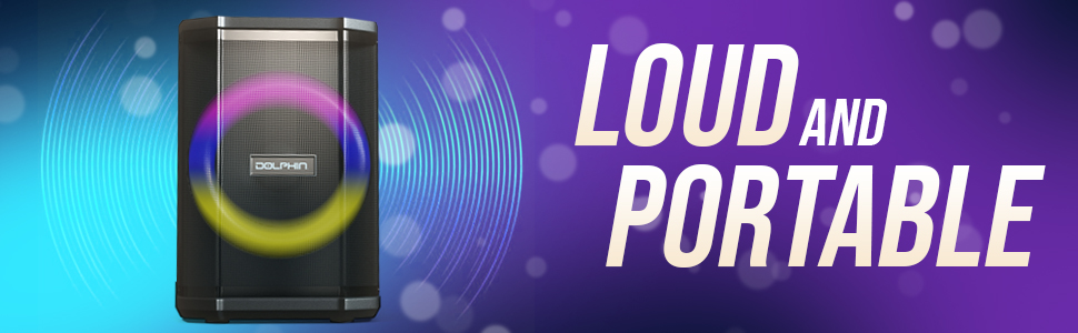 light apeaker portatil blue tooth speake machine microphones charge karoke equipo portatiles set