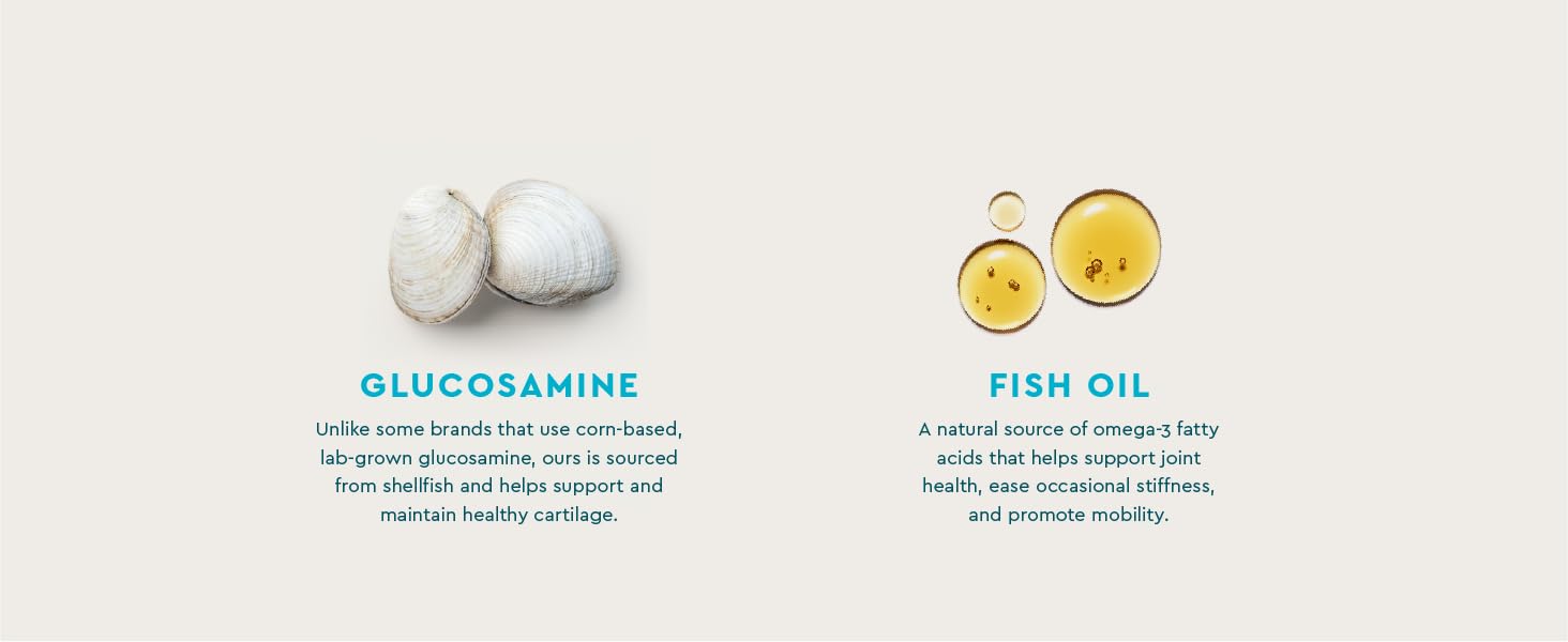 glucosamine fish oil for dogs