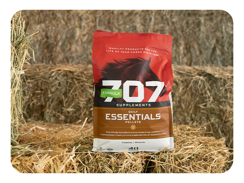 horse vitamin mineral supplement bag hay feed