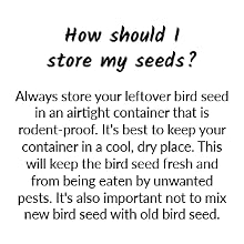 How should I store my seeds FAQ