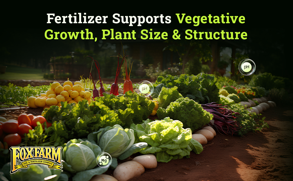Grow Big Liquid Plant Food