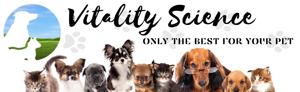 best pet medicine remedies natural no side effects organic holistic pet health supplements